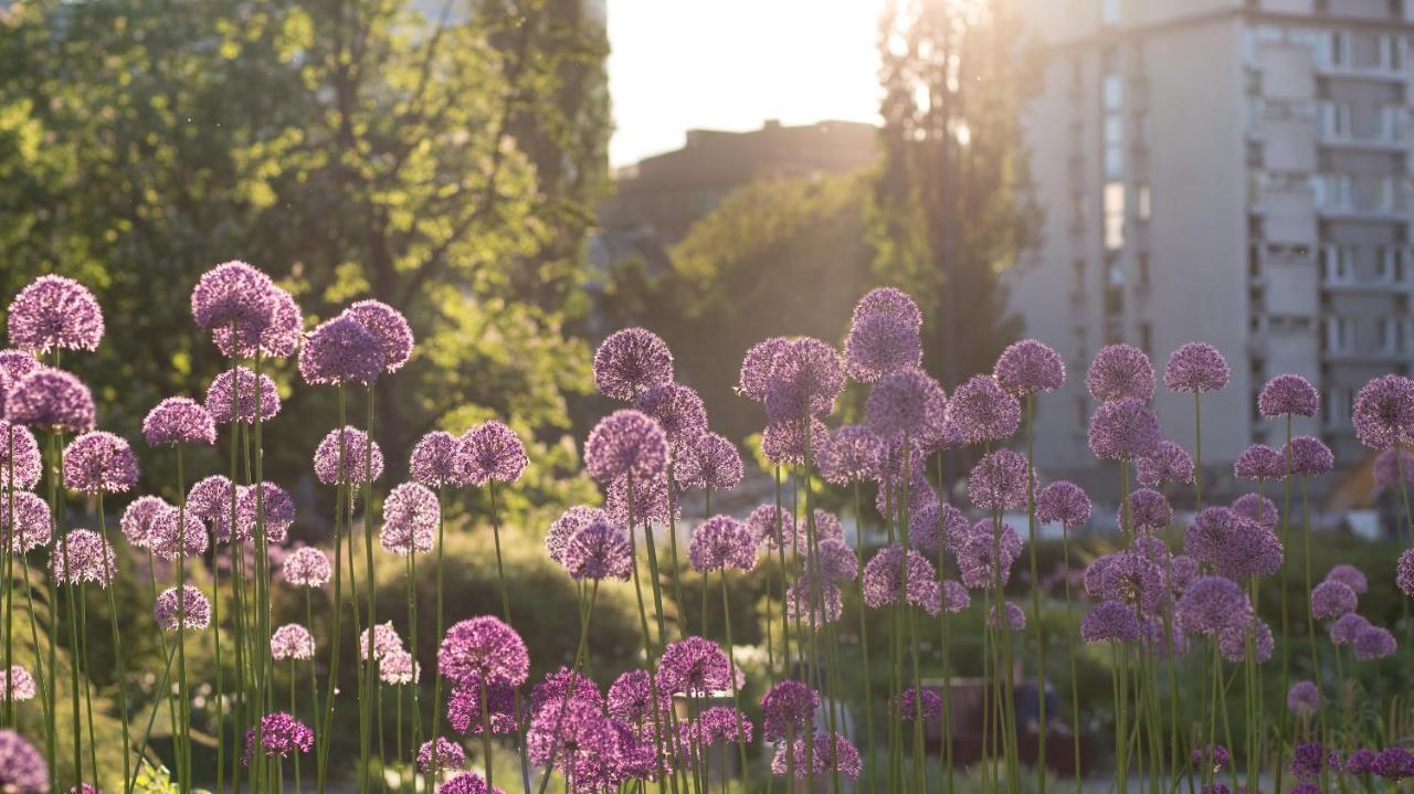 Sunny Apartment Warsaw Luaran gambar